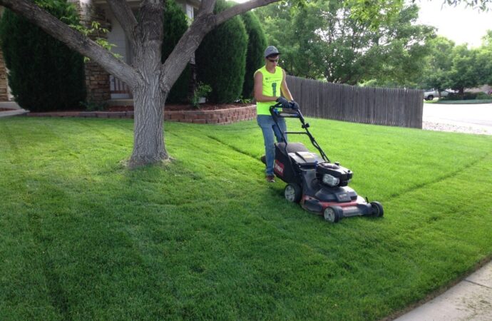 Lawn Service-League City TX Landscape Designs & Outdoor Living Areas-We offer Landscape Design, Outdoor Patios & Pergolas, Outdoor Living Spaces, Stonescapes, Residential & Commercial Landscaping, Irrigation Installation & Repairs, Drainage Systems, Landscape Lighting, Outdoor Living Spaces, Tree Service, Lawn Service, and more.