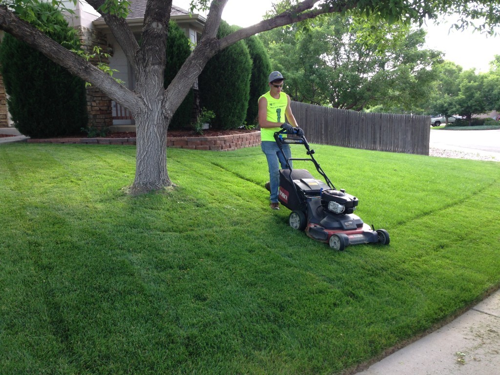 Lawn Service-League City TX Landscape Designs & Outdoor Living Areas-We offer Landscape Design, Outdoor Patios & Pergolas, Outdoor Living Spaces, Stonescapes, Residential & Commercial Landscaping, Irrigation Installation & Repairs, Drainage Systems, Landscape Lighting, Outdoor Living Spaces, Tree Service, Lawn Service, and more.