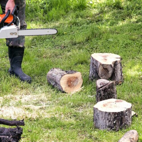 Tree Service-League City TX Landscape Designs & Outdoor Living Areas-We offer Landscape Design, Outdoor Patios & Pergolas, Outdoor Living Spaces, Stonescapes, Residential & Commercial Landscaping, Irrigation Installation & Repairs, Drainage Systems, Landscape Lighting, Outdoor Living Spaces, Tree Service, Lawn Service, and more.