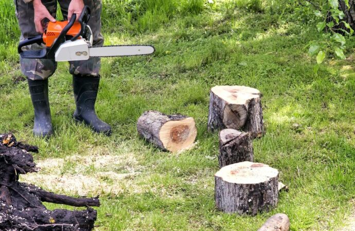 Tree Service-League City TX Landscape Designs & Outdoor Living Areas-We offer Landscape Design, Outdoor Patios & Pergolas, Outdoor Living Spaces, Stonescapes, Residential & Commercial Landscaping, Irrigation Installation & Repairs, Drainage Systems, Landscape Lighting, Outdoor Living Spaces, Tree Service, Lawn Service, and more. Tree Service-League City TX Landscape Designs & Outdoor Living Areas-We offer Landscape Design, Outdoor Patios & Pergolas, Outdoor Living Spaces, Stonescapes, Residential & Commercial Landscaping, Irrigation Installation & Repairs, Drainage Systems, Landscape Lighting, Outdoor Living Spaces, Tree Service, Lawn Service, and more.